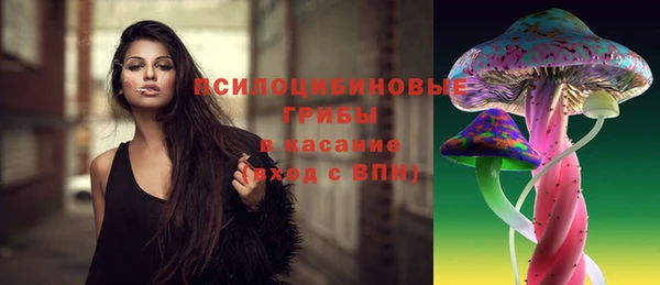 СК Алексин