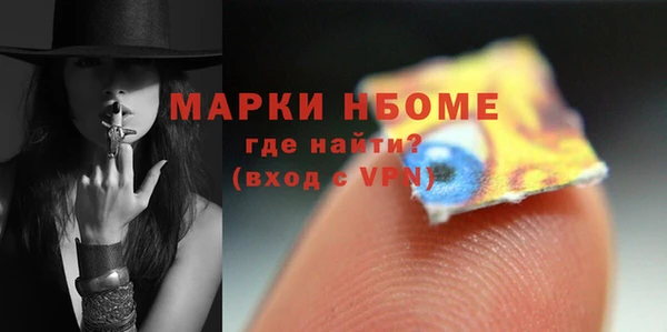 СК Алексин