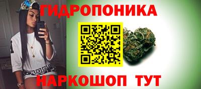 крисы Чебаркуль