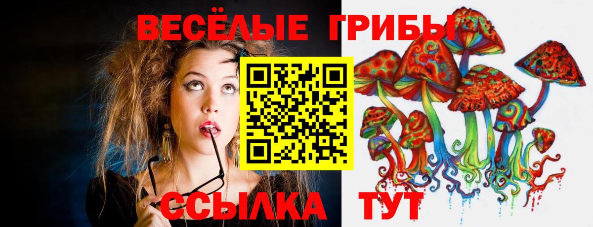 Галлюциногенные грибы GOLDEN TEACHER Амурск