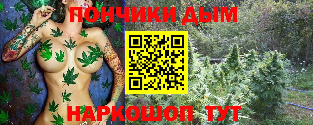 МАРИХУАНА LSD WEED  МАРИХУАНА AK-47  Амурск  Канабис марихуана  Шишки марихуана план  Вход с VPN 